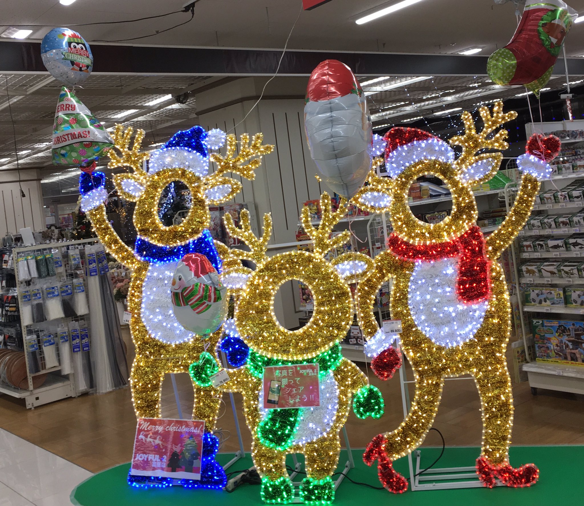 ジョイフル本田富里店 Twitter Search Twitter