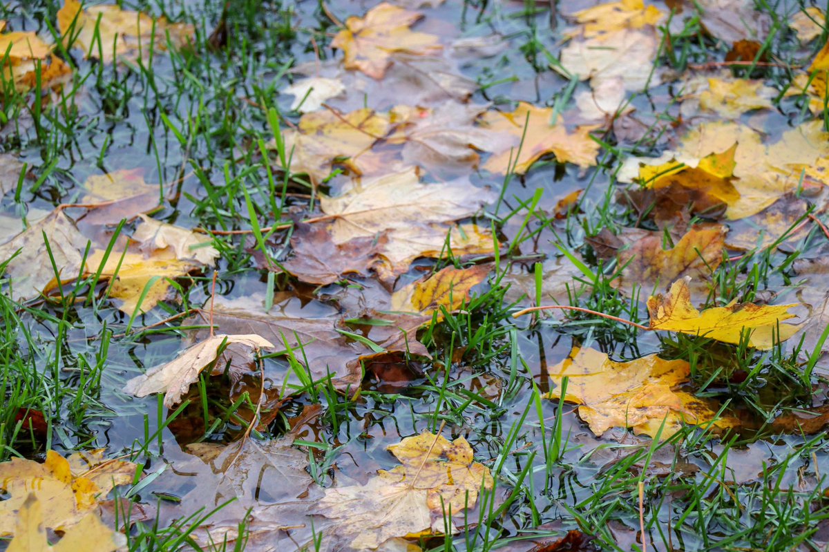 CamrenClouthier's tweet photo. Nothing like fall weather in Michigan. 🍂 https://t.co/TFb48eRrlW