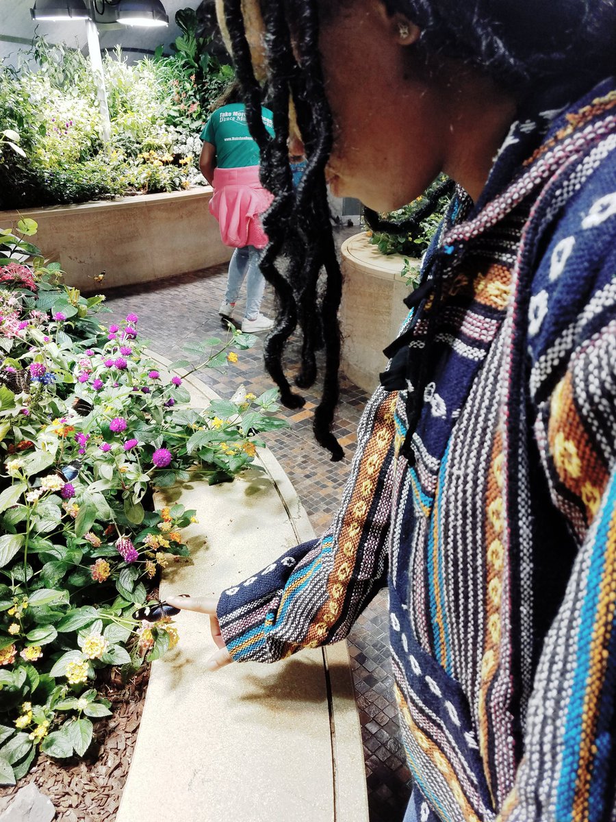 nichelle_renee's tweet photo. The Butterfly Exhibit. 🦋🤘🏽😁

#365DaysofTBQ 🦋 https://t.co/b7JnNJ2chg