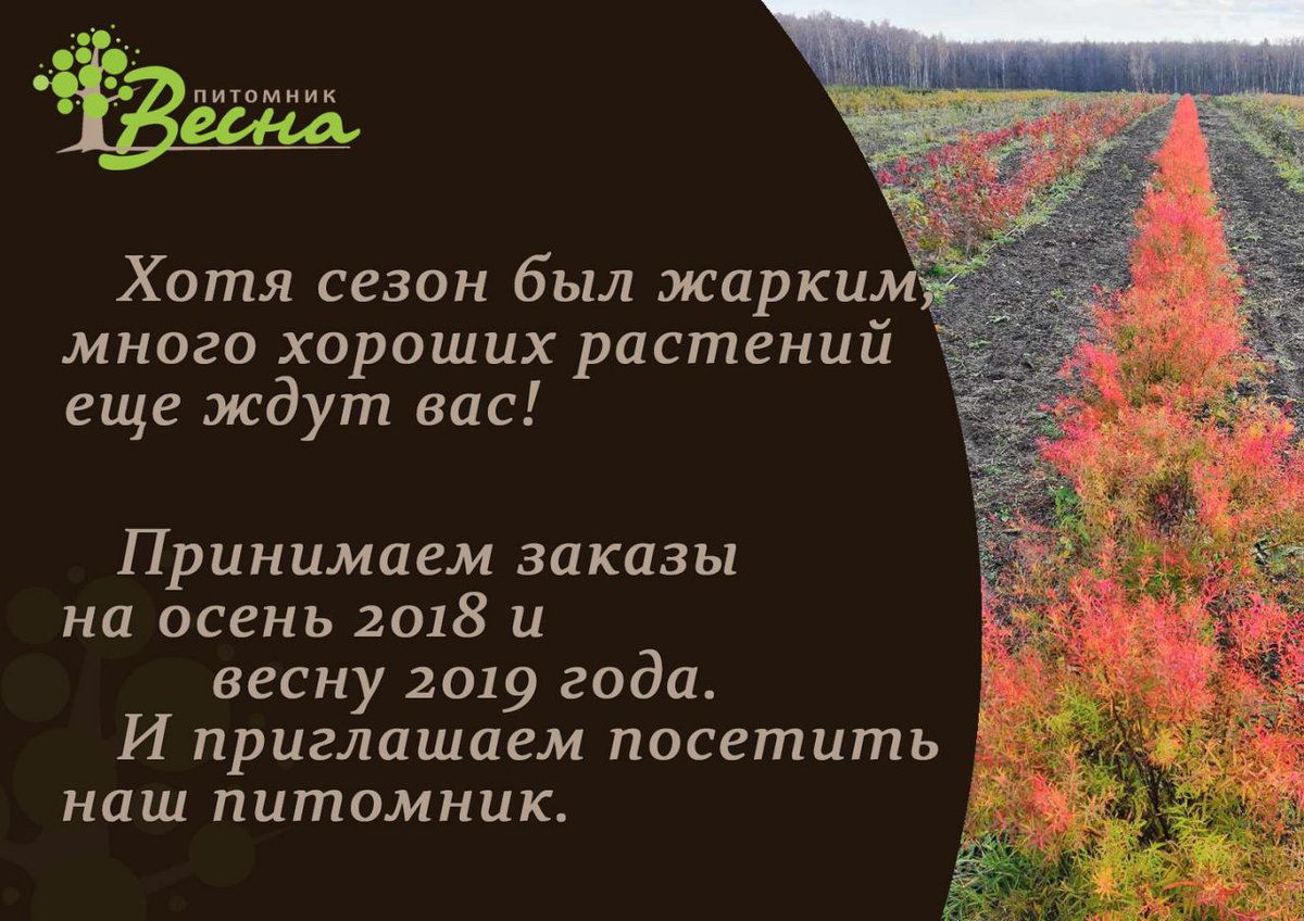 SadVesna's tweet image. #питомникрастений #питомник #садовыйцентр 
facebook.com/Pitomnik.Vesna/