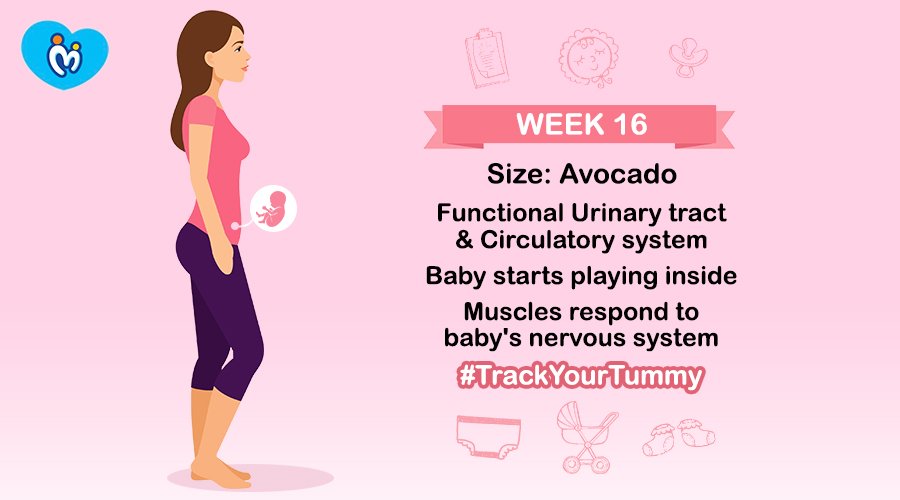 MamyPokoIN's tweet photo. Mammies, use #TrackYourTummy to see all the developments in your baby! Download our App: https://t.co/DotPxeEO4G
#MamyPoko #Unicharm #TrackDevelopment https://t.co/NhdRv2OKbz