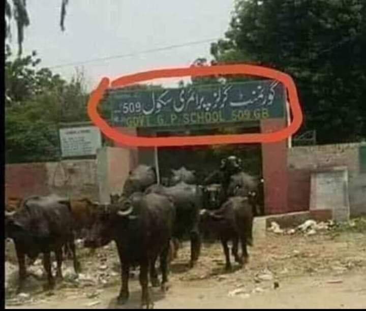 DIGITAL_PENDU's tweet photo. 👻👻👻اوئے کون لوگ او تسی😂😂😂
ہن #پینڈو نے کی کیا اے؟۔۔🤔

جو لکھیا اے او ساریاں دے سامنے آ😂😂😂 https://t.co/yRWhvYgtXj