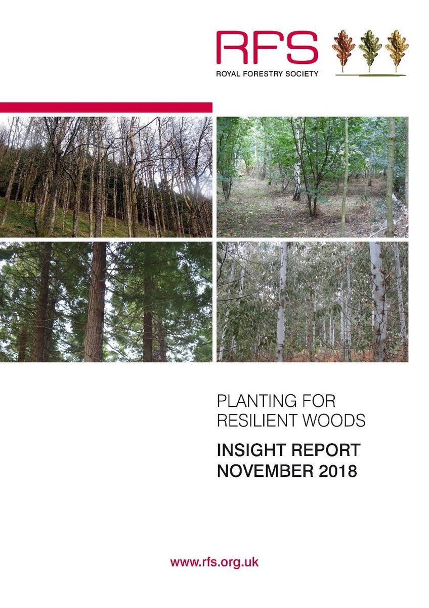 royal_forestry's tweet photo. Out today! Insight Report #resilientwoods Our woods are changing Almost half of survey respondents planting more tree species than 5 yrs ago. Of those who are not, 63% are actively planning to do so in next 5 yrs. #futureproofwoods #Ashdieback @JohnWeirFC https://t.co/BxIYHNPamq https://t.co/JH6Zsf00ND