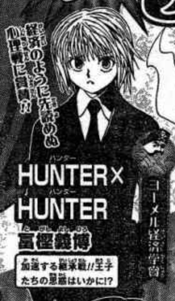 Hunter x Hunter Manga Panel  Manga covers, Hunter anime, Manga pages