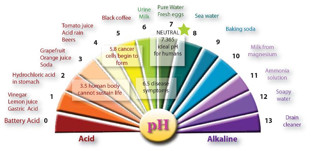 How an Alkaline Water Filter Works pH Prescription..For more info visit...h...