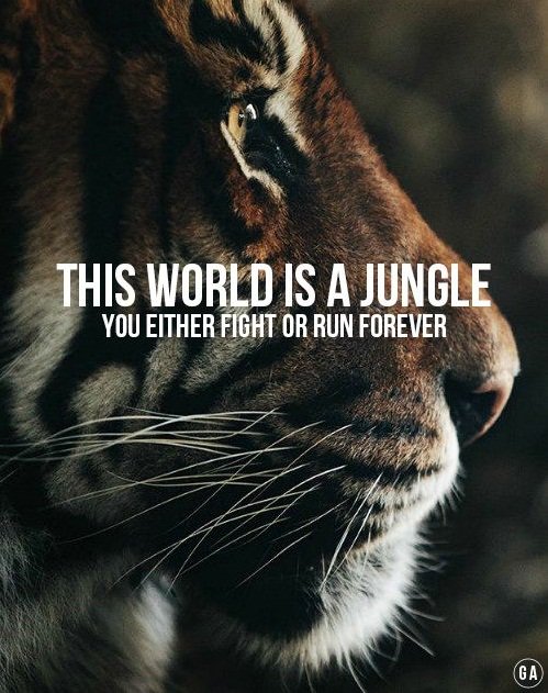 SadeemR1's tweet photo. #Inpiration #Passion #HARDSTYLE https://t.co/VTnPNsFUS4