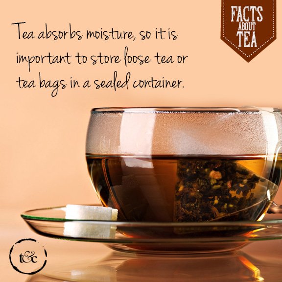 TnC_India's tweet photo. An airtight storage container is really all you need to block out moisture.
#teafacts #moisture #container #storage #tea #chai #cupoftea #cafe #teaandconversations https://t.co/tzljMu612Z