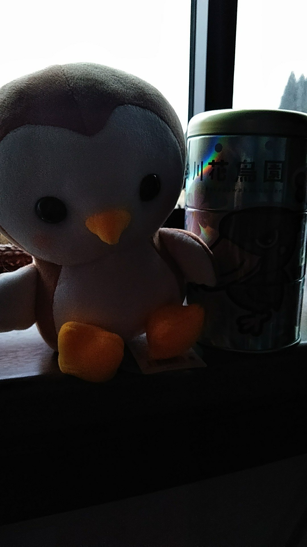 Twitter 上的 ツノ屋隼 掛川花鳥園にて買ったぬいぐるみ こんな顔でメンフクロウというw可愛い けどペンギンにしか見えないw T Co Gaspj4wthk Twitter