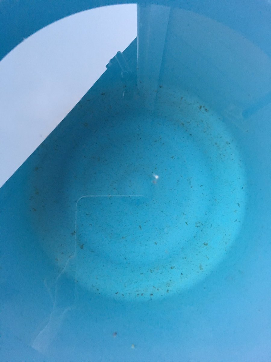 Twitter Da 青水 Etiketi