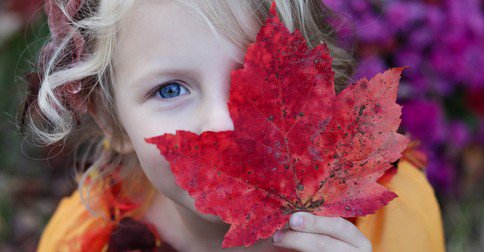 Votre week-end avec les kids au #Luxembourg , Quelques idées de sorties: petitweb.lu/kids_type/votr…