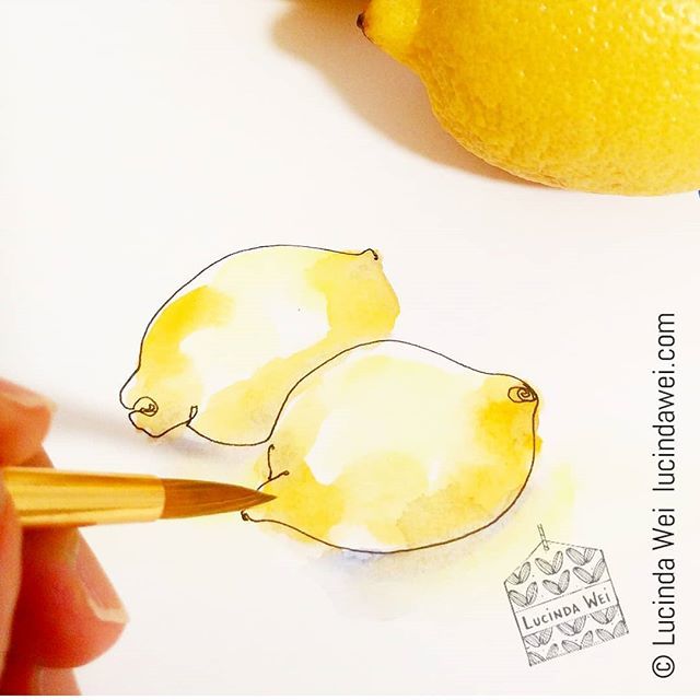 Lucinda_Wei's tweet photo. Lemons.
.
.
.
.
.
📝: #mozart 🎨: #derwentgraphik #sakurakoi #watercolor
#dailycreating #foodillustration #sketchbookpage #surfacedesign #penandpaint #artlicensing #lucindawei #artbylucindawei https://t.co/iCydBicLLU https://t.co/elG9SrNyr3