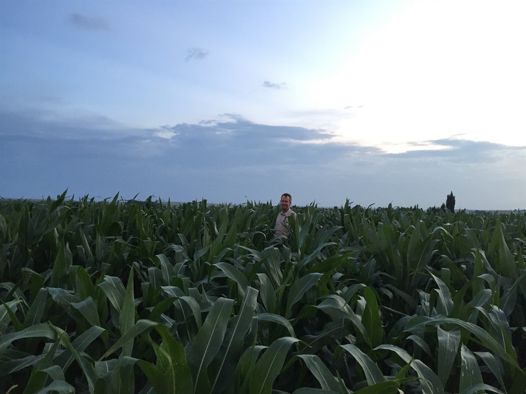 Grain SA tweet media