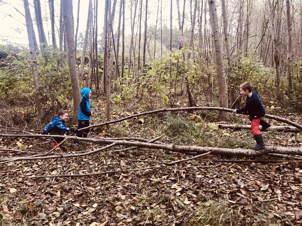 Mrs_Hooyberg's tweet photo. Outdoor ed: full of notice & wonder. ”I wonder why this tree is leaning. I wonder if we can make a teeter totter. I wonder what we can make with this. I wonder how far apart these trees are. I wonder who made this. I wonder what tree this piece of bark comes from.” #sd68learn https://t.co/m2AjYtpqmW