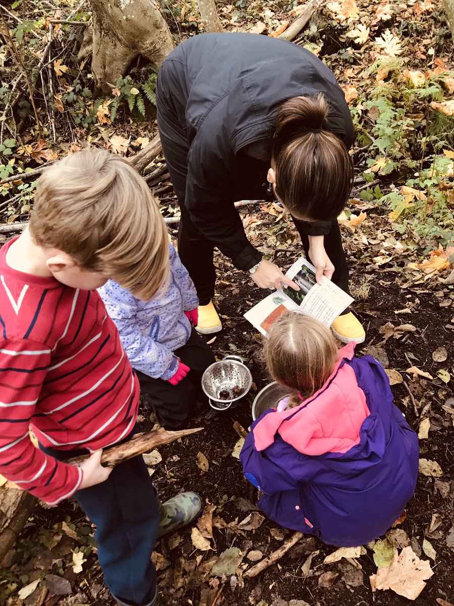 Mrs_Hooyberg's tweet photo. Outdoor ed: full of notice & wonder. ”I wonder why this tree is leaning. I wonder if we can make a teeter totter. I wonder what we can make with this. I wonder how far apart these trees are. I wonder who made this. I wonder what tree this piece of bark comes from.” #sd68learn https://t.co/m2AjYtpqmW