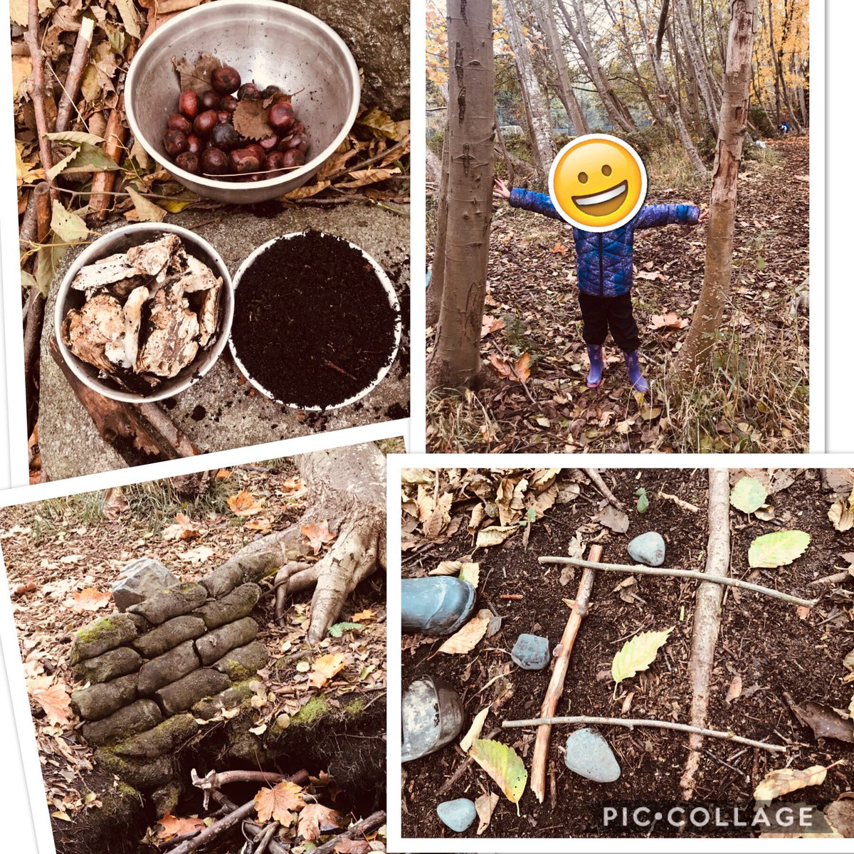 Mrs_Hooyberg's tweet photo. Outdoor ed: full of notice & wonder. ”I wonder why this tree is leaning. I wonder if we can make a teeter totter. I wonder what we can make with this. I wonder how far apart these trees are. I wonder who made this. I wonder what tree this piece of bark comes from.” #sd68learn https://t.co/m2AjYtpqmW