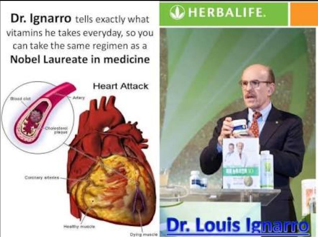 herbalifeweigh2's tweet photo. nutrition weightloss in herbalife near you Bangalore call now have healthy nutrition to be getting healthy aging call now +917829020429 / +919443225959 we are successfully running nutrition club we help all the weight loss program and gain by give good healthy nutrition calories https://t.co/fGx7t2jRYc