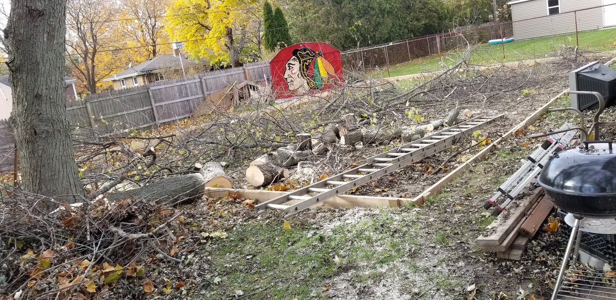 MiniUC_BHawks's tweet photo. https://t.co/OzJ4RoPF2a

Big THANKS to Dean Haskins Marine Vet who came out today to chop down a huge limb hanging over the MINI UC. He even chopped it up so I can move it myself (wasnt asked to do that at all). #ClassACT #THANKYOUVETERAN #Blackhawks #unitedcenter @NHLBlackhawks https://t.co/IW1brIvsYx