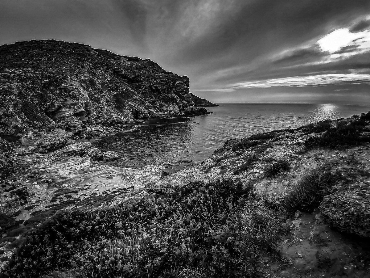 gavinobazzoni's tweet photo. Paesaggio costiero di Sardegna: piccola caletta al tramonto.
#blackandwhitephotography
#blackandwhite #monochrome
#bnw_nurra #bnw_captures #monostyle #biancoenero #photography #sardinia #nurra #seascape #landscape #nature
#monochromephotography #sardegna #bnw_sardinia #sunset https://t.co/8Qfa158zn5