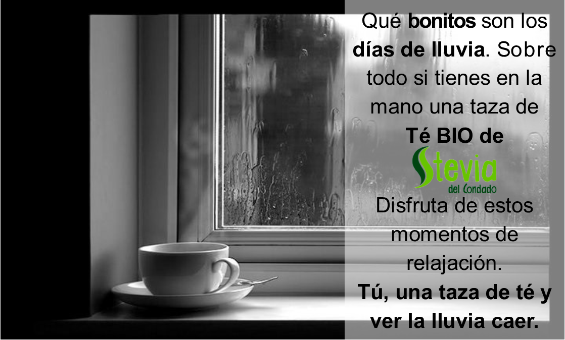 SteviaCondado's tweet photo. Disfrutando de los días de lluvia. 
Llegar a casa🏡🚶‍♀️, ponerte tu ropa más cómoda, entrar en calor 🔥 y relajarte tomándote un #TéBIO 🍵🌿 de @SteviaCondado bien caliente al mismo tiempo que te asomas por la ventana para ver la #lluvia caer. #PLACERESDELAVIDA. https://t.co/Ylutw5jodF