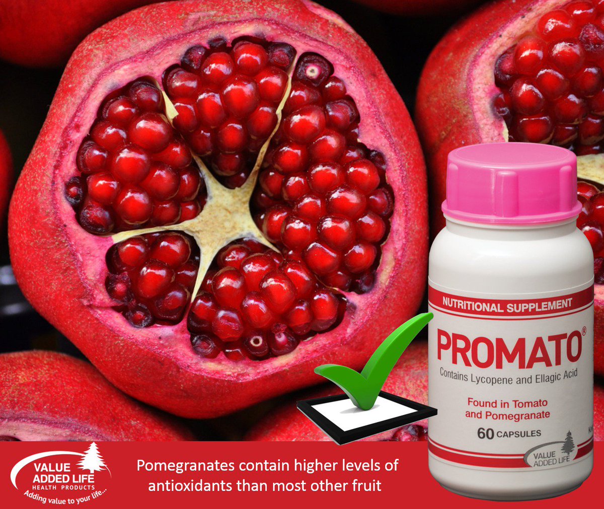 Promato_VAL's tweet photo. Pomegranate, the sweet seeded fruit, is a rich source of antioxidants. Recent research has shown that pomegranate selectively inhibit the growth of breast and prostate cancer cells. Keep your breasts and prostate healthy with Promato!
#LeaveItToThePro https://t.co/ovhHfSQd2h