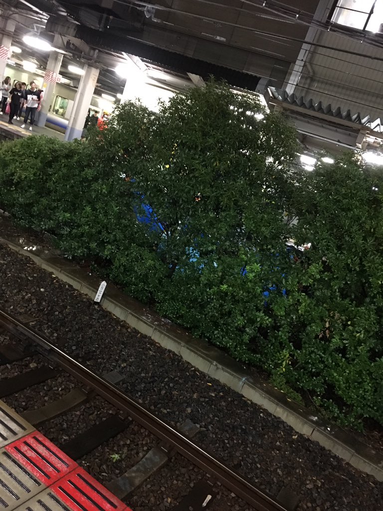 鳳駅で飛び込み自殺の人身事故が起きた現場画像