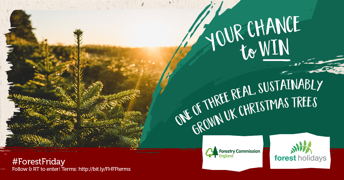 Forest Holidays tweet media
