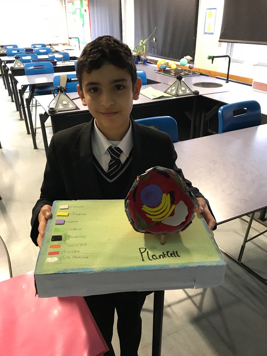 RajinderLiptro1's tweet image. Another fantastic cell
Homework - I love the detail Raahil! #sciencehomework #cells
