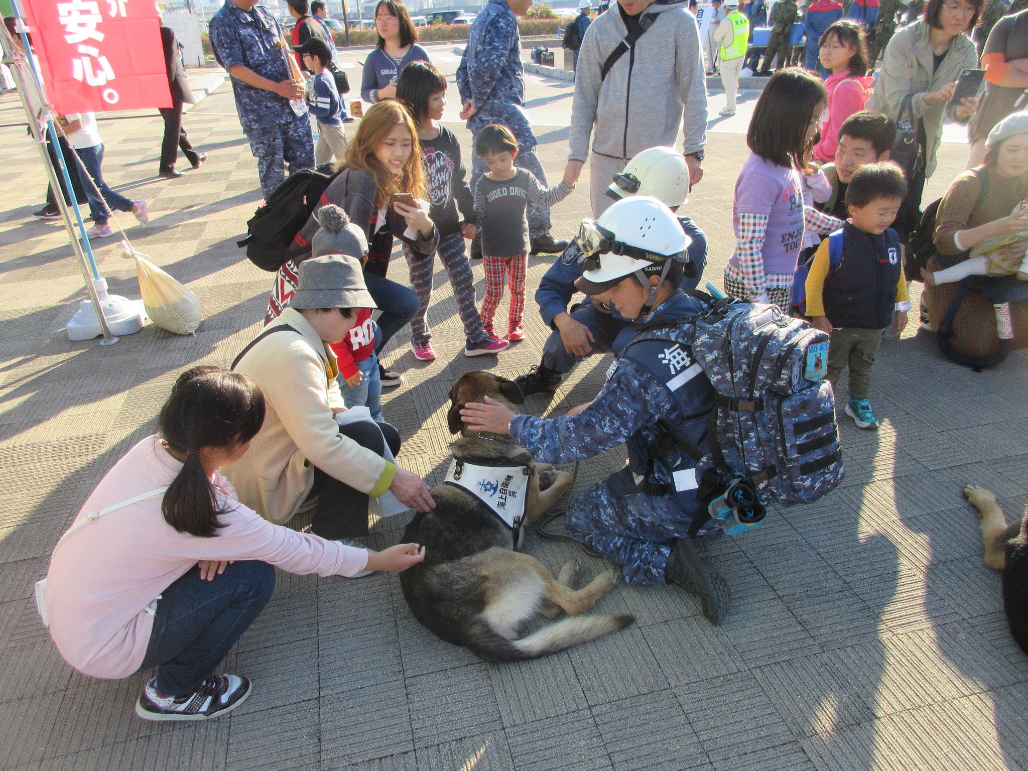 防衛省 海上自衛隊 １１月４日 警備犬 那智号 及び トド丸号 海上自衛隊呉造修補給所貯油所所属 は 空自 築城基地所属の 警備犬とともに 広島県総合防災訓練に参加し 行方不明者捜索を行いました 今回の訓練から移動時に使用するシューズが導入