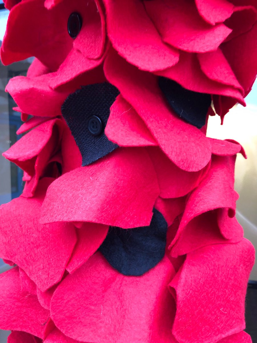 This year marks the 100th anniversary of the end of WW1. To mark the occasion and to commemorate all those who have served we have created our own special tribute. Each child in school has made and sewed a poppy to add to the display.  Lest We Forget. 🌺