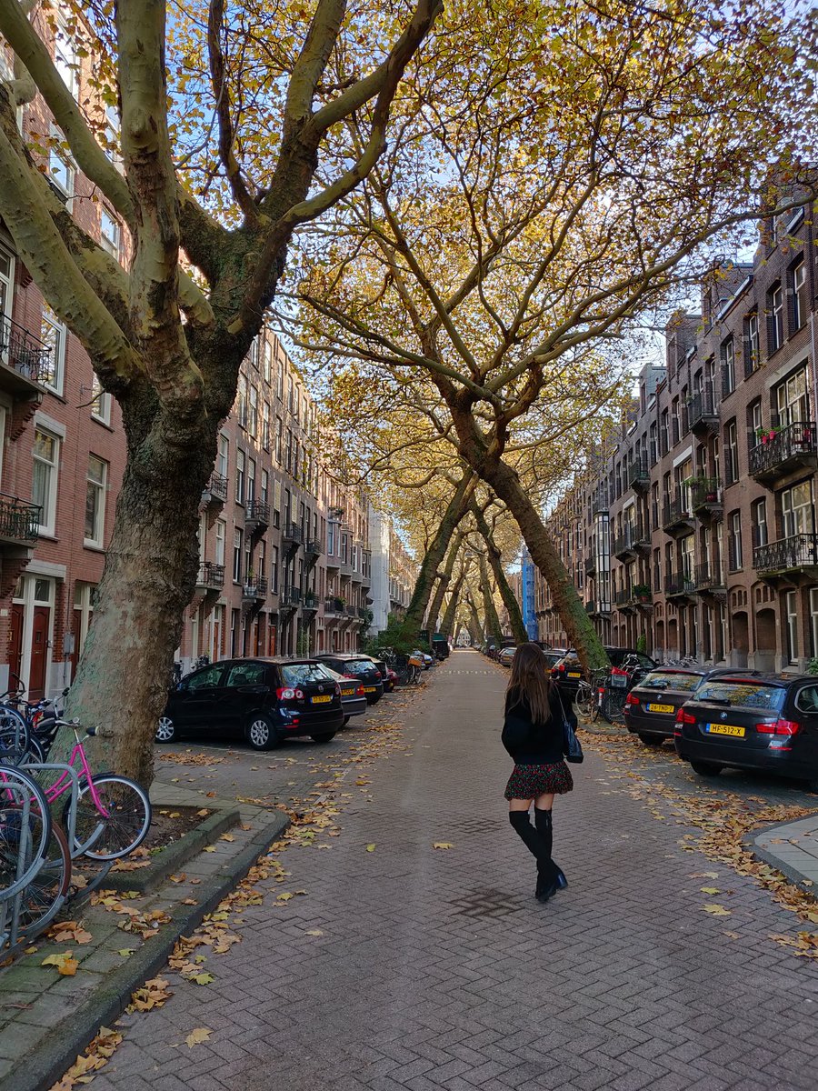 Morning ❌❌❌ <a href="/OnePlus_NL/">OnePlus Nederland</a> #ShotOnOnePlus