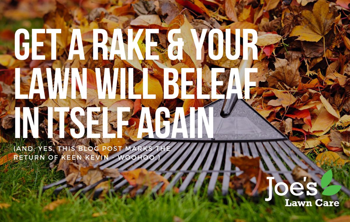 Joe's Lawn Care 🌱 (@joes) | Twitter