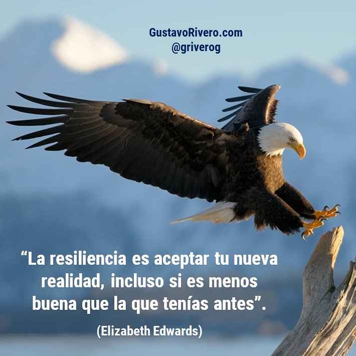 Gustavo Rivero בטוויטר Se Feliz En Casi Cualquier Situacion T Co Grtupgndj7 Empatia Resiliencia Sonrisa Humildad Fe Coraje Lealtad Exito Lider Vida Actitud Emprendedor Amor Frases Negocio Liderazgo Suenos Familia Negocios Gustavo Rivero בטוויטר Se Feliz En Casi Cualquier Situacion T Co Grtupgndj7 Empatia Resiliencia Sonrisa Humildad Fe Coraje Lealtad Exito Lider Vida Actitud Emprendedor Amor Frases Negocio Liderazgo Suenos Familia Negocios