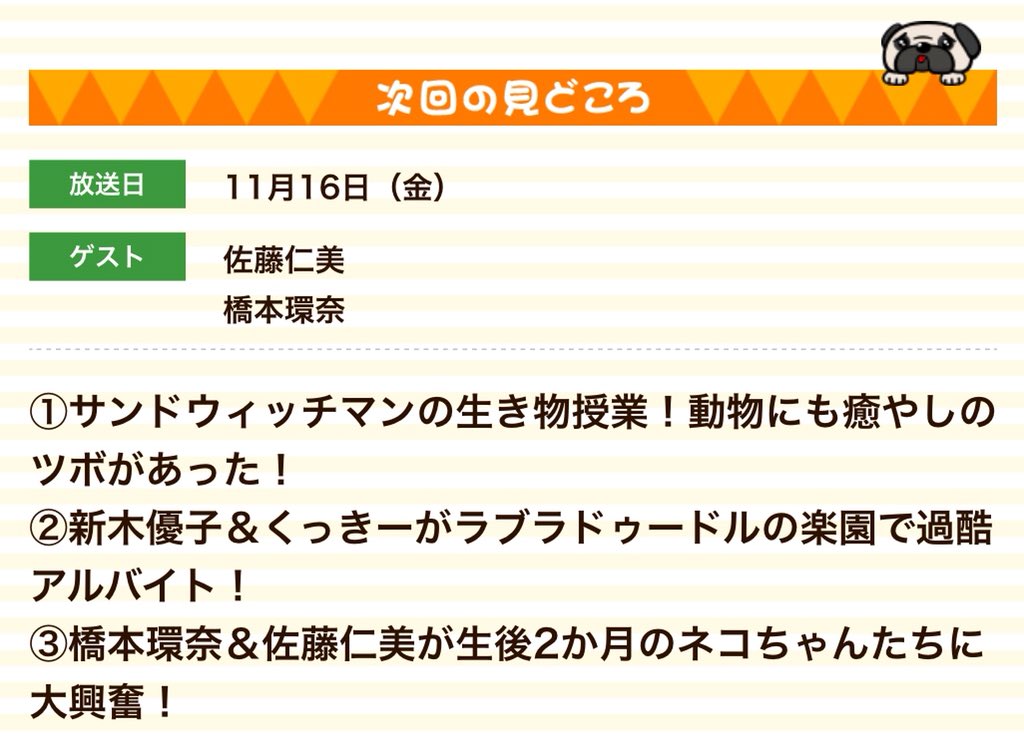 Vitaminjp 坂上動物王国 次回放送内容 T Co Pihc4zqeex サンドウィッチマン の生き物授業 動物にも癒やしのツボがあった 新木優子 くっきー がラブラドゥードルの楽園で過酷アルバイト 橋本環奈 佐藤仁美 が