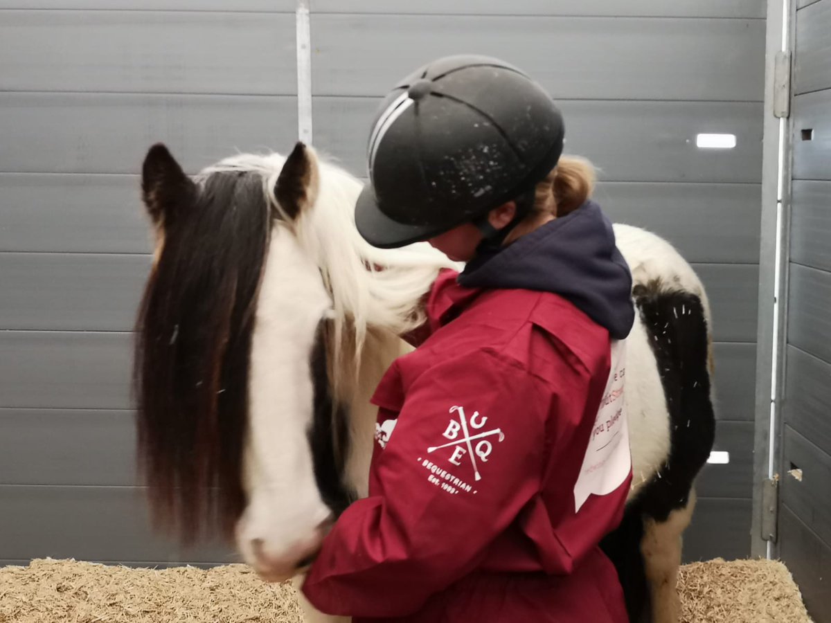 RedwingsAndie's tweet image. Big thanks to @safe4UK and @B_Equine for your help promoting better biosecurity with our lovely overalls #Pledge to #StampOutStrangles @YourHorseLive @LIVERYlist @RedwingsHS