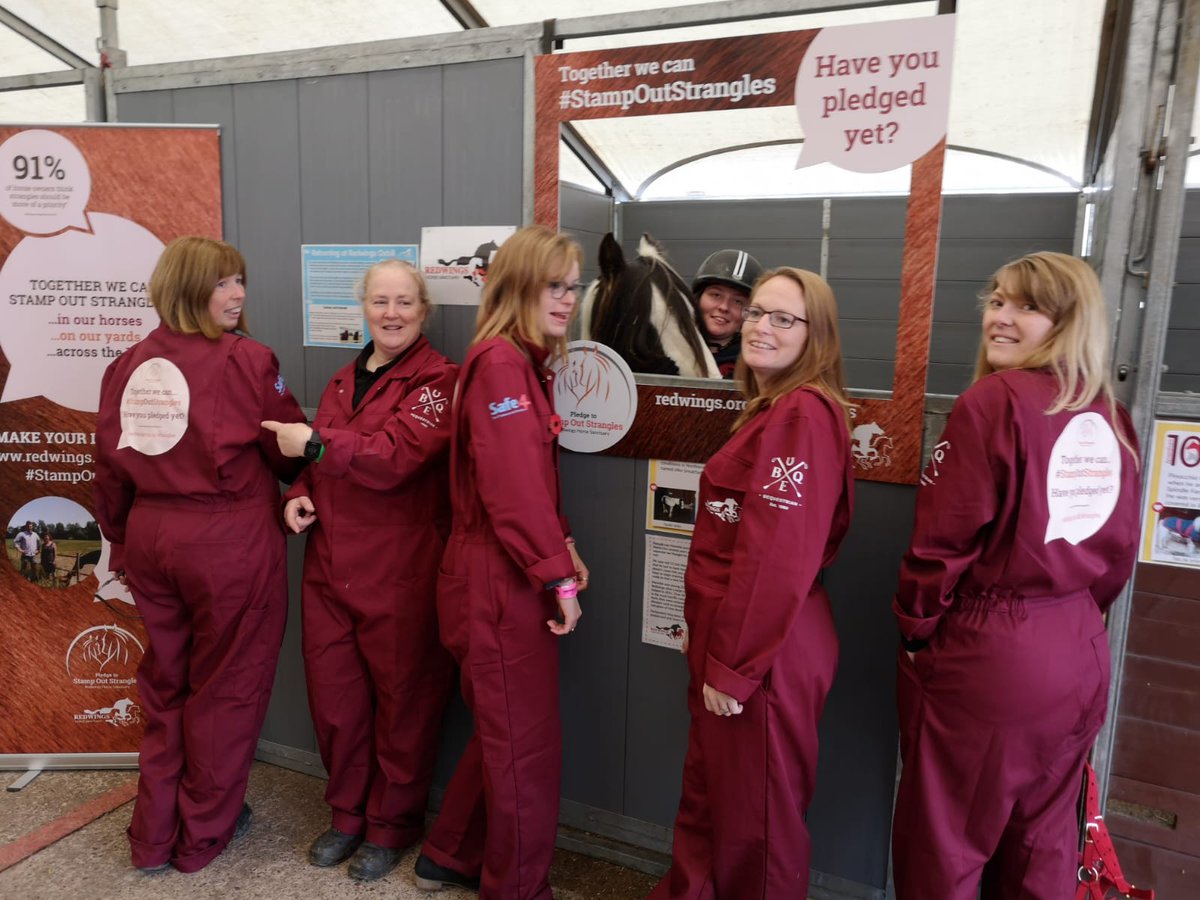 RedwingsAndie's tweet image. Big thanks to @safe4UK and @B_Equine for your help promoting better biosecurity with our lovely overalls #Pledge to #StampOutStrangles @YourHorseLive @LIVERYlist @RedwingsHS