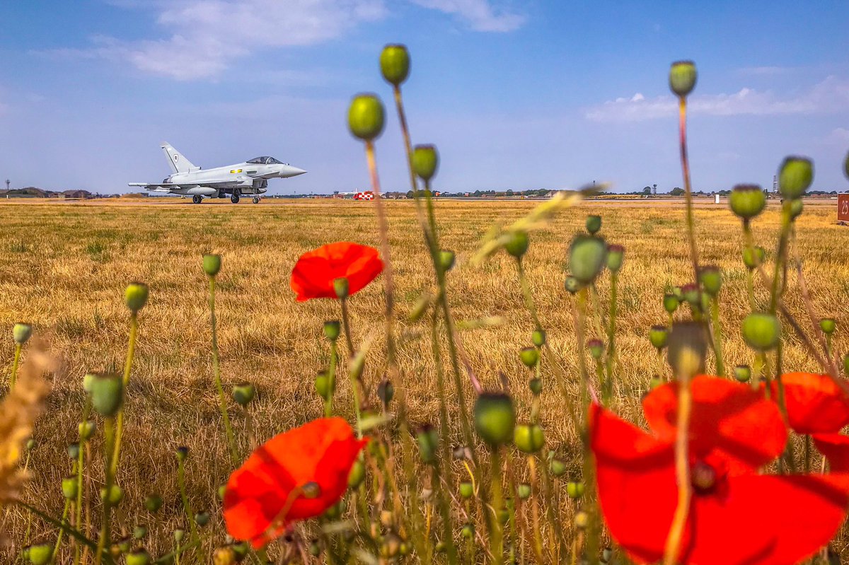 Matt Smart (@mattsmartie999) on Twitter photo It has to be this photo of a @Eurofighter_1 <a href="/BAESystemsAir/">BAE Systems Air</a> Typhoon with poppies for #phoonfriday
<a href="/ThePhotoHour/">#ThePhotoHour</a> <a href="/PoppyLegion/">Royal British Legion</a> <a href="/RoyalAirForce/">Royal Air Force</a> <a href="/ChiefofAirStaff/">ACM Sir Rich Knighton</a>
#avgeek #ThankYou100 It has to be this photo of a @Eurofighter_1 <a href="/BAESystemsAir/">BAE Systems Air</a> Typhoon with poppies for #phoonfriday
<a href="/ThePhotoHour/">#ThePhotoHour</a> <a href="/PoppyLegion/">Royal British Legion</a> <a href="/RoyalAirForce/">Royal Air Force</a> <a href="/ChiefofAirStaff/">ACM Sir Rich Knighton</a>
#avgeek #ThankYou100