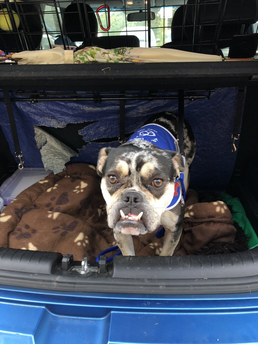 Busy morning today seeing our guys at various homes and dodging the rain - I’m dry can’t say that about my mammy !