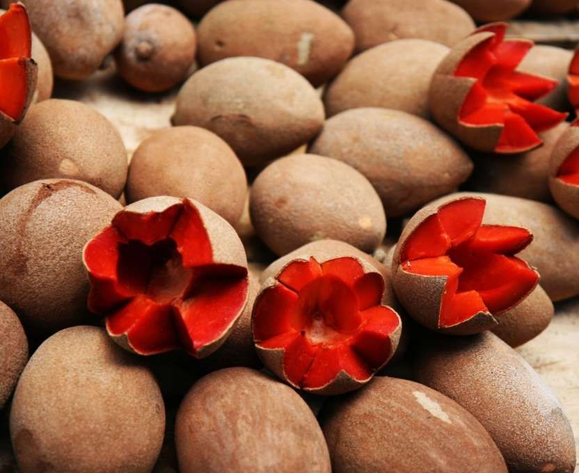Las 5 frutas mexicanas más ricas. Sabes del cacao, el maíz, y el aguacate, pero hay muchísimas otras especies que son originarias de #México y quizás no lo sabías.  buff.ly/2SAheo4