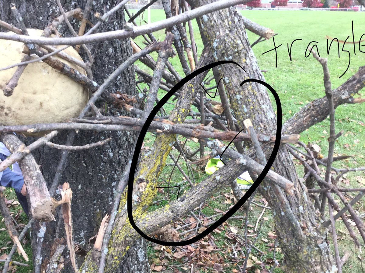 Ss in 5E’s math class during outdoor classroom day finding angles and tesselations in their outside surroundings. <a href="/CBWarwickElem/">Warwick Elementary School CBSD</a>