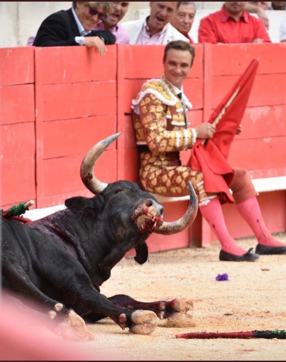 EscalatL's tweet image. Marca España, premien als #assessins #españa #españ