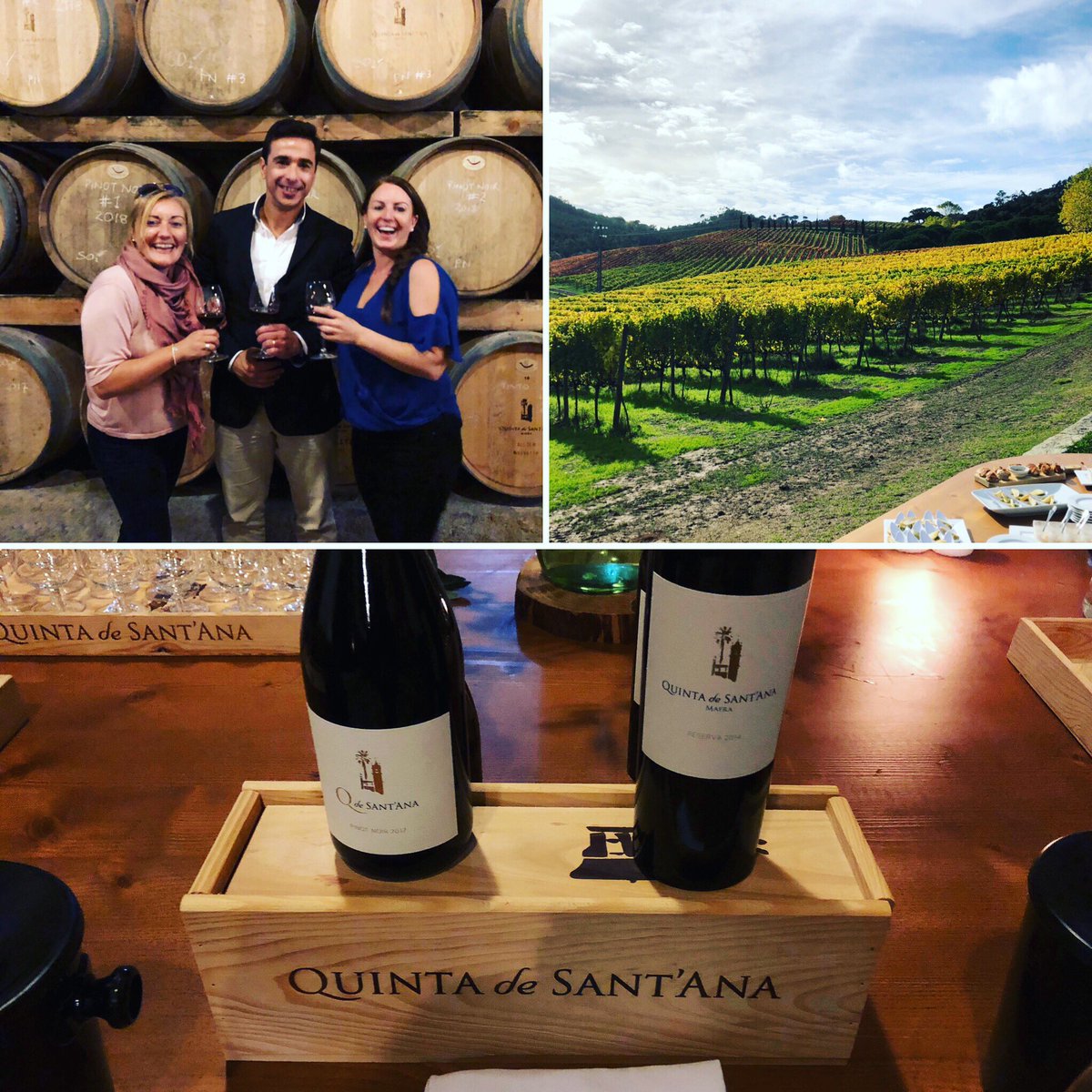 Wow wow wow where’s your next event #lisbon <a href="/qsa_wine/">Quinta de Sant'Ana</a> #luxurygourmetportugal #corporateevents