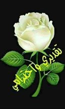 aadlmhmod1's tweet photo. https://t.co/80xbPj2Vtg