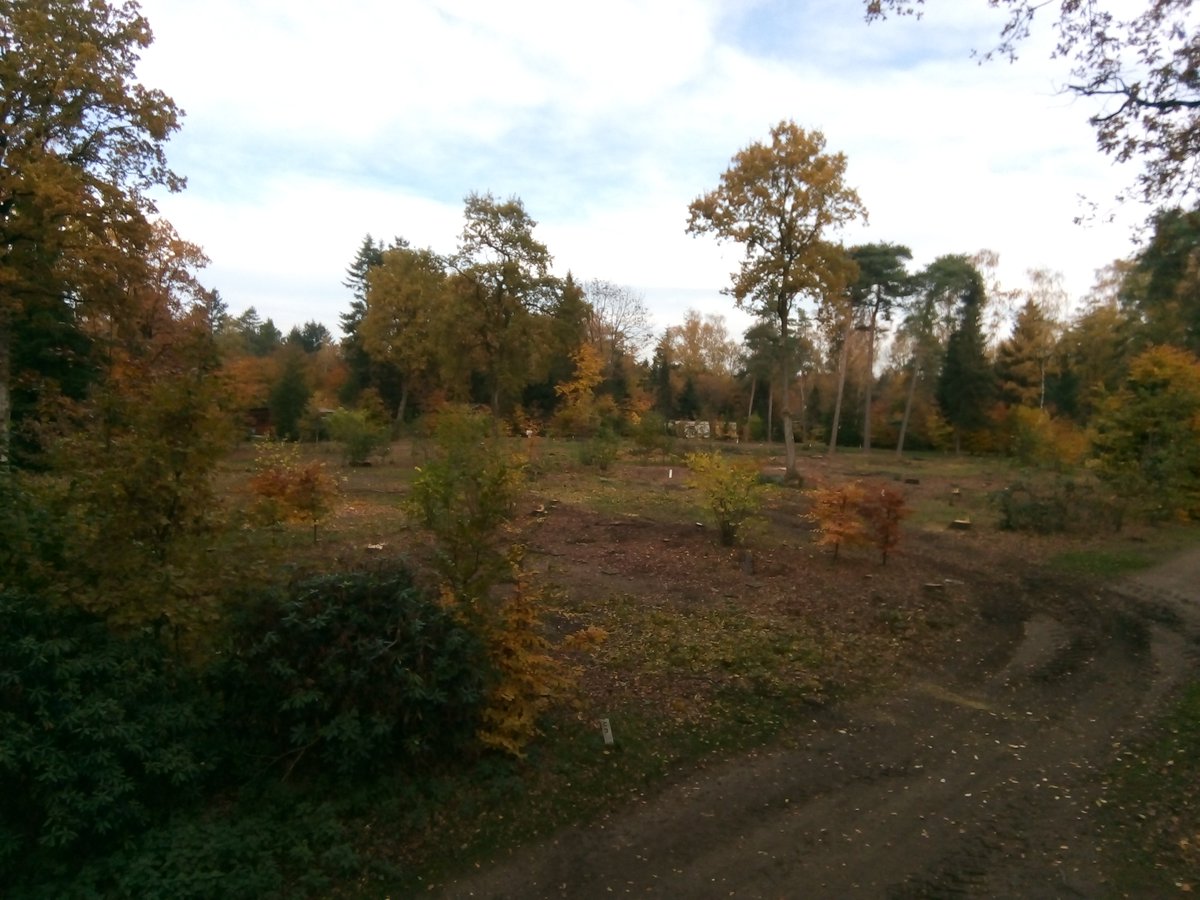 We zijn druk bezig met het creëren van een nieuw kampeerveld met comfortplaatsen. We zullen regelmatig updates plaatsen van de voortgang! <a href="/DePaalberg/">Recreatiepark de Paalberg</a> @VDBrecreatie