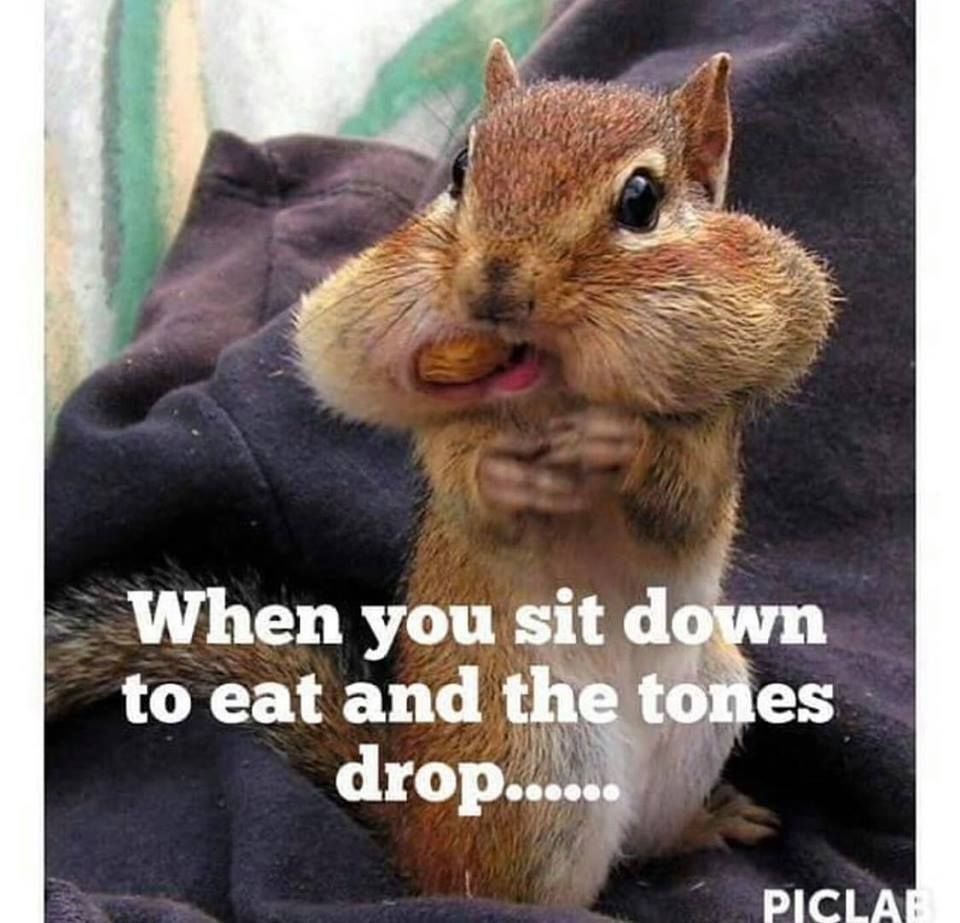 ncfirefighters's tweet image. #FridayFun 
Have a Great Weekend!
Stay Safe #FireinNC