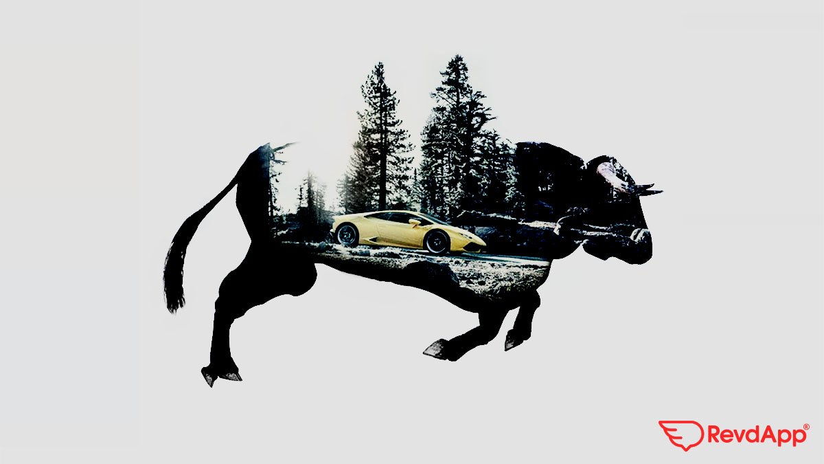 GetRevdApp's tweet image. When it came time to create a logo for his company, Ferruccio Lamborghini drew inspiration from large and difficult fighting bulls from the Ganadería Miura. #lamborghini are truly remarkable and unforgettable cars. #rent a Lamborghini from #revdapp. Coming soon to #washingtondc.