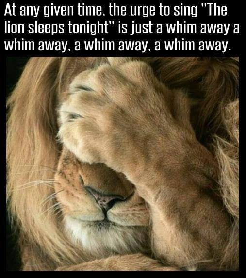 #FridayFunny <a href="/BuckmanHeights/">Buckman Heights GCSD</a> <a href="/GreeceCentral/">Greece Central</a>