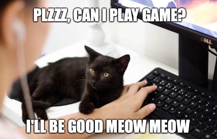 Cat_S_trophy's tweet photo. #FridayFeeling #VisibleRealms #Cats #gamedev #indiedev #VRgame #VRgaming #catgame #racing #oculusgo ๐ธ๐ฎ๐ https://t.co/Zq3i6UlHm3