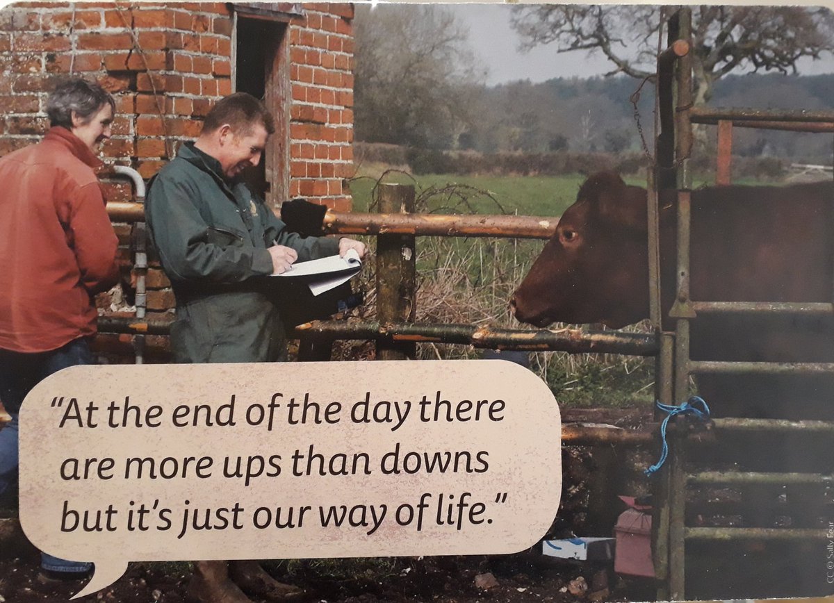 new forest ranger (@newforestranger) on Twitter photo The #commoningvoices exhibition <a href="/NFCentre/">NF MOBILE CENTRE</a> is well worth a visit for anyone wanting to know about the commoning community at the heart of the #RealNewForest The #commoningvoices exhibition <a href="/NFCentre/">NF MOBILE CENTRE</a> is well worth a visit for anyone wanting to know about the commoning community at the heart of the #RealNewForest