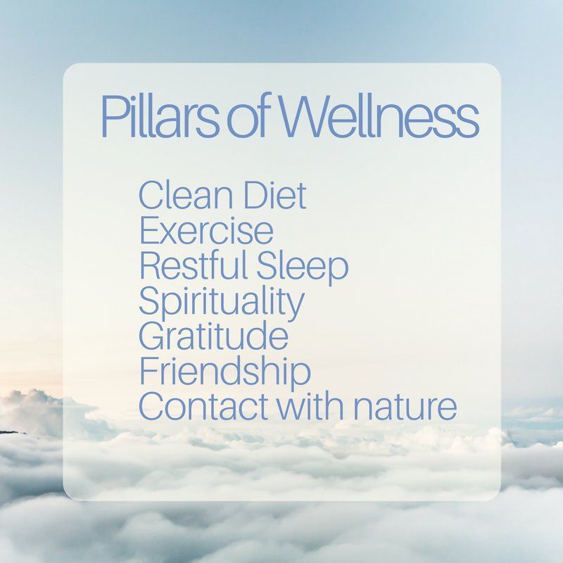 DrKristieLeong's tweet image. 7 pillars of #health &amp;amp; #wellness. How many health problems could we prevent if we got these basics of #healthyliving right?