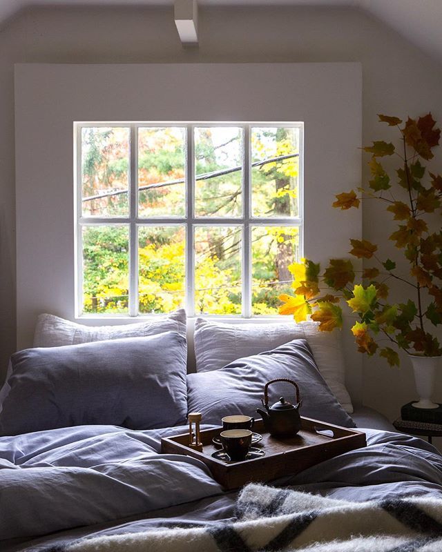 When the autumn leaves can be seen from your bedroom window, a day in bed is a perfectly adventurous outing. #myparachutehome ift.tt/2zGkOo3